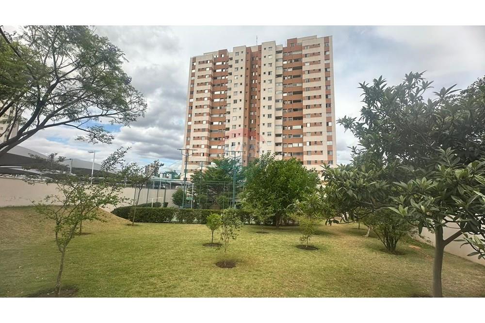 Apartamento - Venda - Belo Horizonte , Minas Gerais - a028878a-031d-4818-94be-5c4e6dec419e.jpeg - 870411013-37
