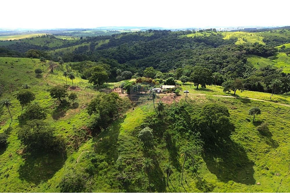 Chácara / Sítio / Fazenda - Venda - Araxá , Minas Gerais - 03.JPG - 870431045-37