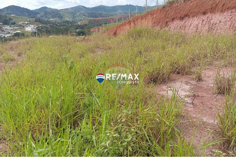 Terreno - Venda - Ipanema , Minas Gerais - WhatsApp Image 2025-05-12 at 16.17.57(1).jpeg - 870451001-130