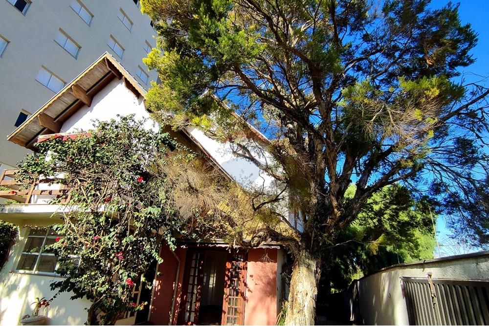 Casa - Venda - Poços de Caldas , Minas Gerais - WhatsApp Image 2025-08-08 at 14.22.20.jpeg - 870361004-113