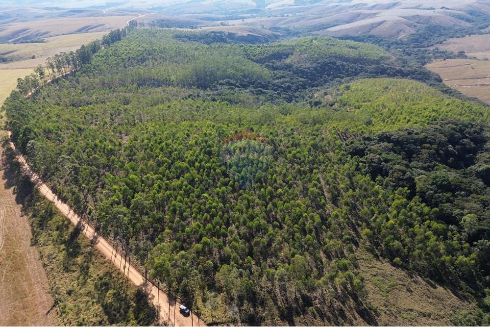 Chácara / Sítio / Fazenda - Venda - Araxá , Minas Gerais - 08.JPG - 870431045-49