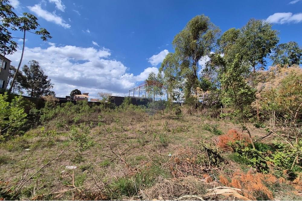 Terreno - Venda - Nova Lima , Minas Gerais - Foto 2.jpeg - 870421061-61