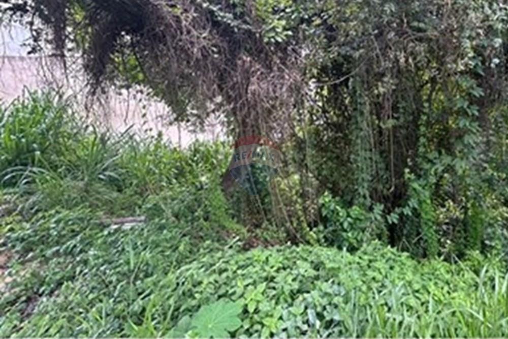 Terreno - Venda - Varginha , Minas Gerais - L_1ef0c45d-aa7e-4d35-88cc-d889d13a1c70.jpg - 870641024-11