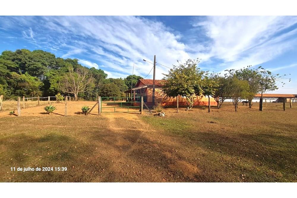 Fazenda - Venda - Uberaba , Minas Gerais - (26).jpeg - 870291025-116