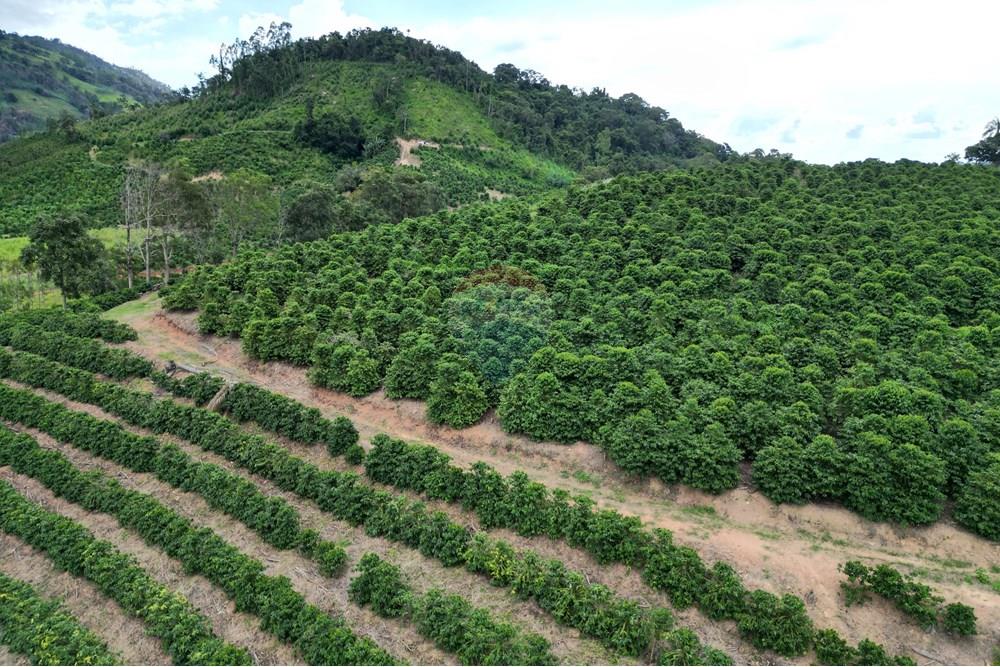 Fazenda - Venda - Caconde , São Paulo - DJI_0059.JPG - 870361041-102