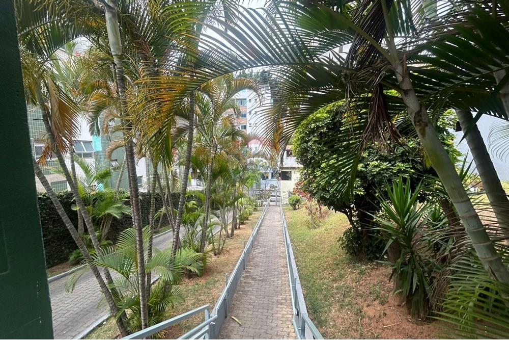 Apartamento - Alugar - Belo Horizonte , Minas Gerais - WhatsApp Image 2025-10-14 at 11.14.18 (3).jpeg - 870251103-18