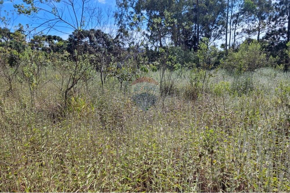 Terreno - Venda - Nova Lima , Minas Gerais - 23.jpeg - 870421084-16