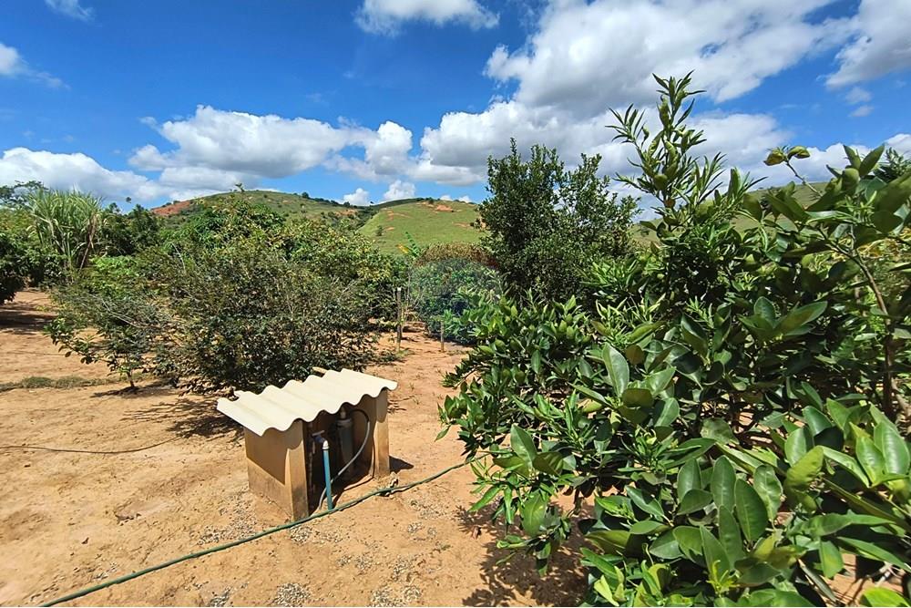 Chácara / Sítio / Fazenda - Venda - Governador Valadares , Minas Gerais - IMG_20250329_110721015_HDR.jpg - 870671027-7