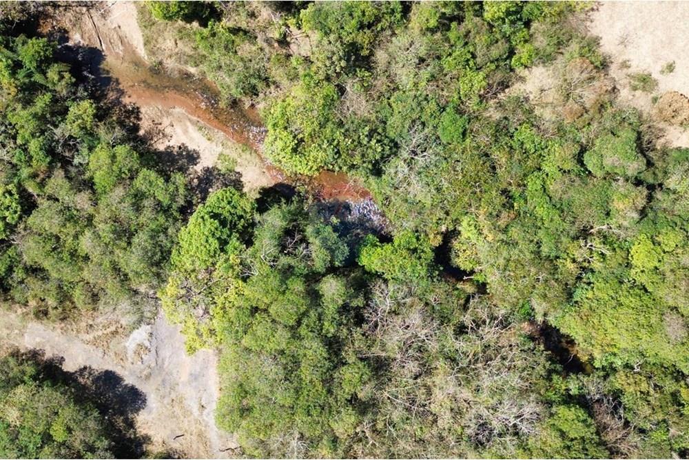 Chácara / Sítio / Fazenda - Venda - Araxá , Minas Gerais - José Cunha Oliveira Fazenda  Colina foto córrego 2.jpg - 870431004-115