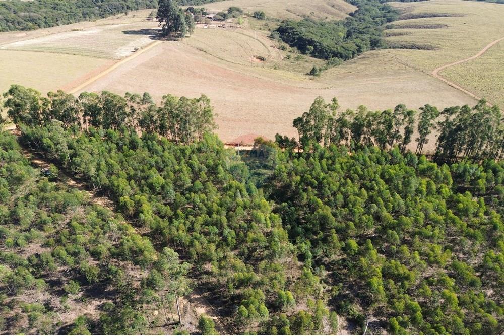 Chácara / Sítio / Fazenda - Venda - Araxá , Minas Gerais - 14.JPG - 870431045-49