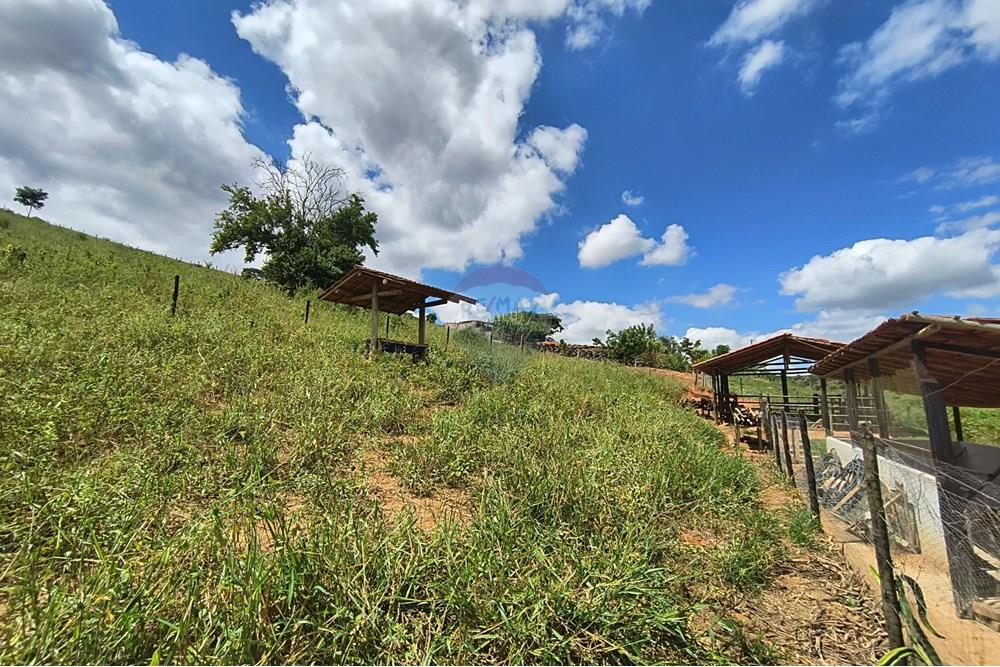 Chácara / Sítio / Fazenda - Venda - Governador Valadares , Minas Gerais - IMG_20250329_105929527_HDR.jpg - 870671027-7