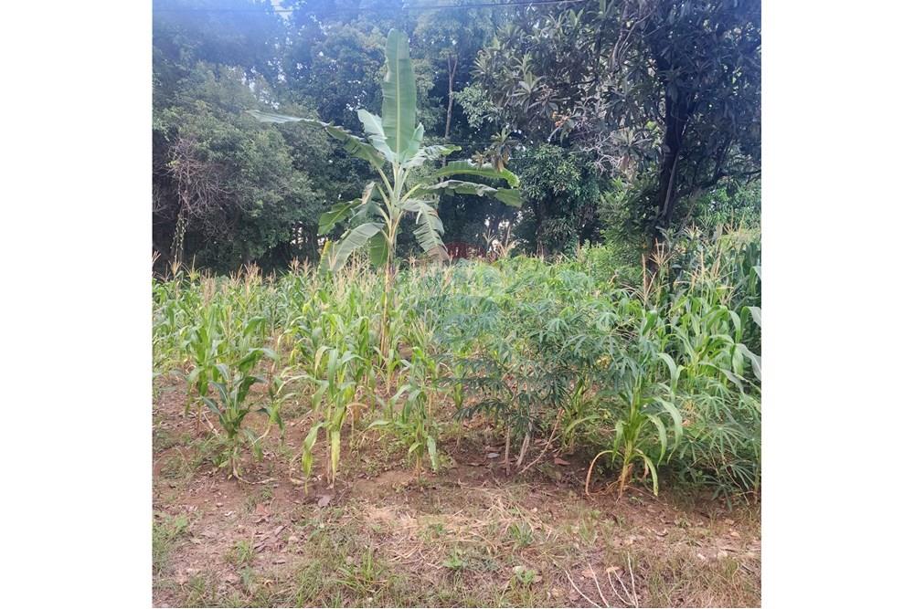 Terreno - Venda - Matozinhos , Minas Gerais - d8452310-8dde-49d5-a8fe-27e9f91228cd.jpeg - 870241024-58