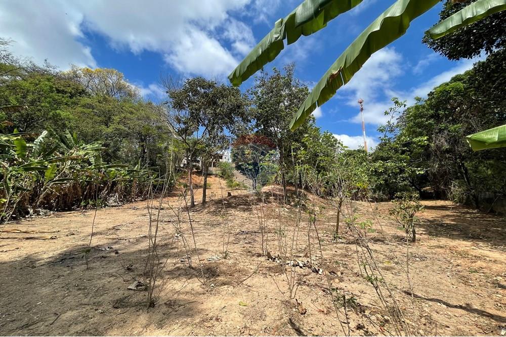 Casa - Venda - Belo Horizonte , Minas Gerais - IMG_1505.jpg - 870411117-17