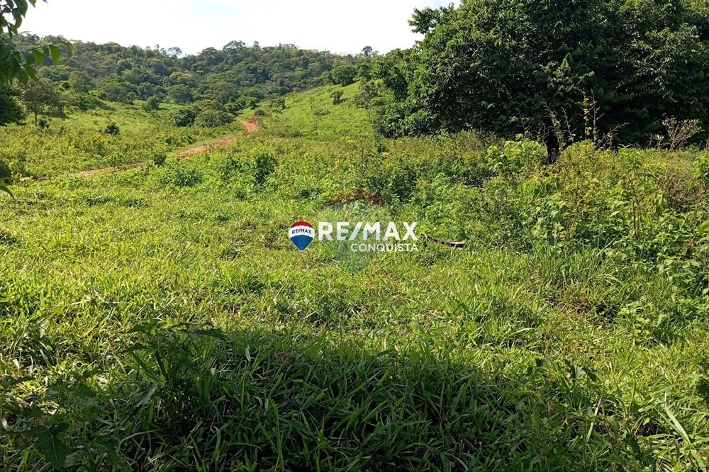 Chácara / Sítio / Fazenda - Venda - Pocrane , Minas Gerais - 1_IMG_20241203_081946_watermark_sex._13122024_135041.jpg - 870451001-114