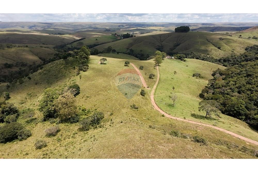 Fazenda - Venda - São Roque de Minas , Minas Gerais - DJI_20250329115102_0013_D.JPG - 870431039-42