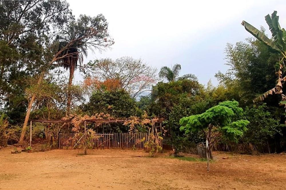 Chácara / Sítio / Fazenda - Venda - Nova Lima , Minas Gerais - Foto Sítio vista da parreira de uva campo do Pires.jpg - 870241097-13
