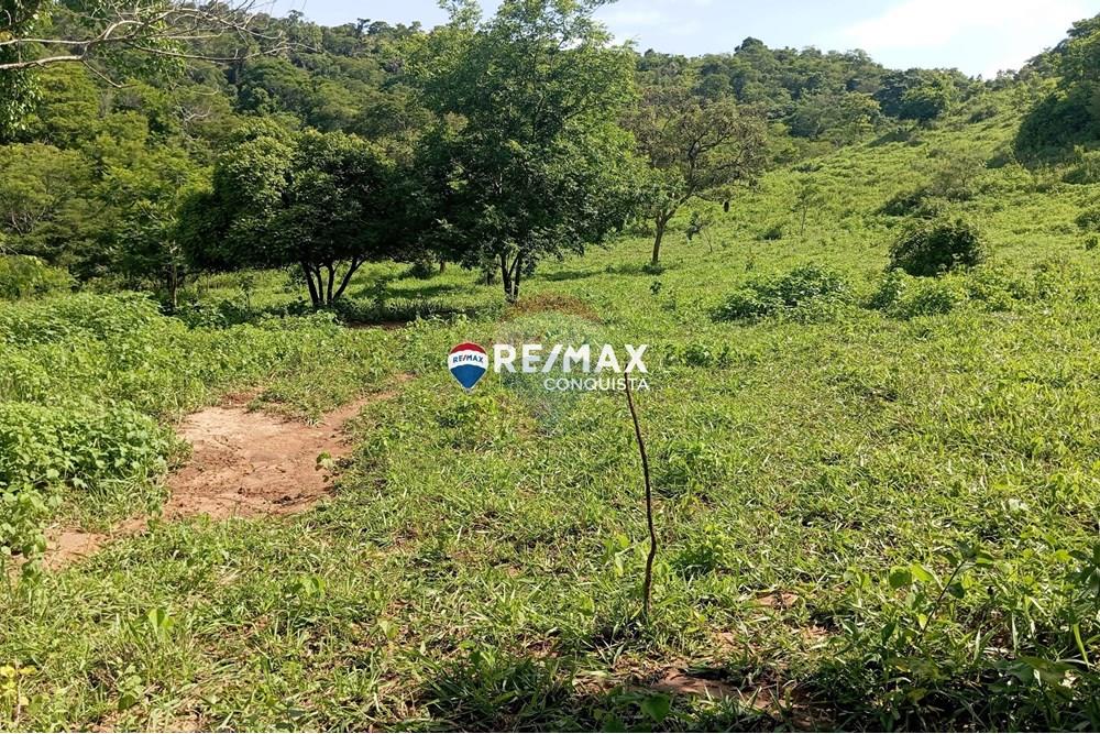 Chácara / Sítio / Fazenda - Venda - Pocrane , Minas Gerais - 7_IMG_20241203_084401_watermark_sex._13122024_135656.jpg - 870451001-114