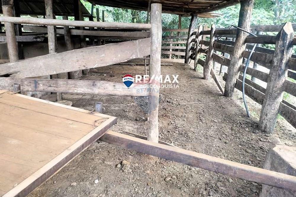 Chácara / Sítio / Fazenda - Venda - Ipanema , Minas Gerais - 9_IMG_20240515_082038_watermark_dom._23062024_100005.jpg - 870451001-121