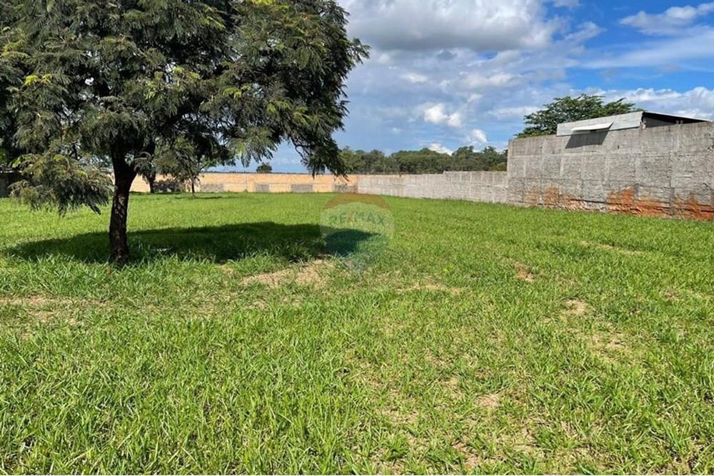 Terreno - Venda - Uberaba , Minas Gerais - 1000188760.jpg - 870291025-54