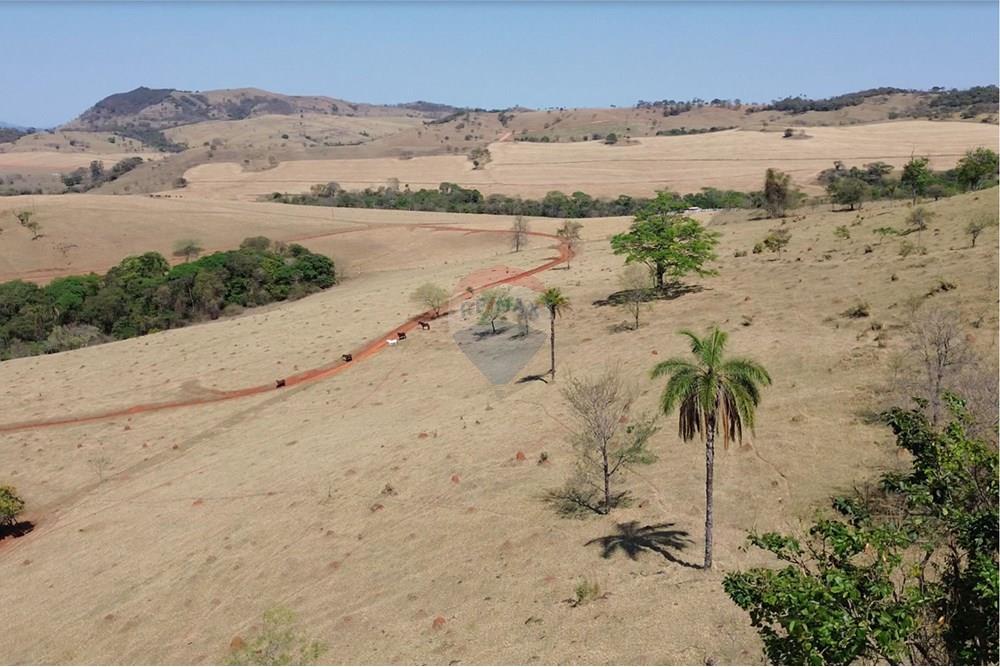 Fazenda - Venda - Passos , Minas Gerais - 09.jpg - 870731008-3