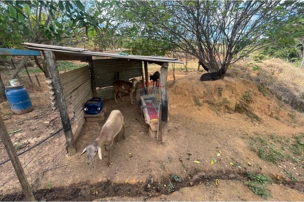 Residential - ਫ਼ਾਰਮ - Araxá , Minas Gerais - BR - 22.jpg - 870431045-46