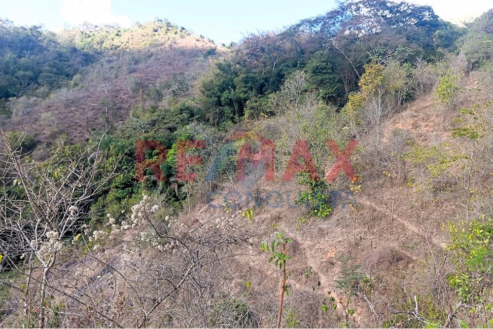 Chácara / Sítio / Fazenda - Venda - Ipanema , Minas Gerais - 1_image_1_watermark_seg._15092025_150602.jpg - 870451013-72