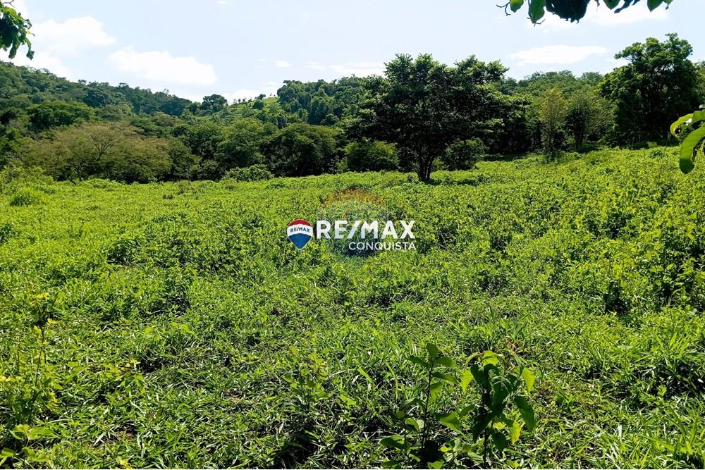 Chácara / Sítio / Fazenda - Venda - Pocrane , Minas Gerais - 2_IMG_20241203_084025_watermark_sex._13122024_135652.jpg - 870451001-114