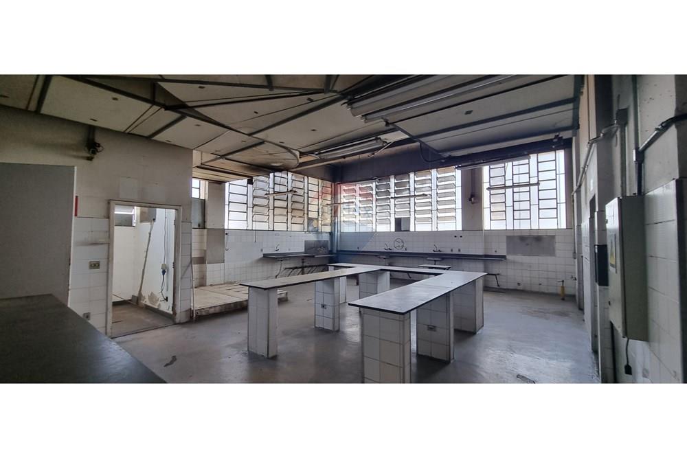 Ponto Comercial/ Loja - Alugar - Belo Horizonte , Minas Gerais - 20240911_095953.jpg - 870251062-79