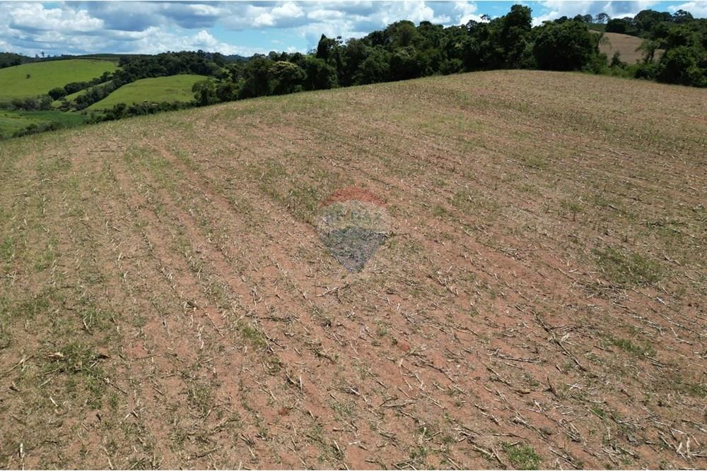 Chácara / Sítio / Fazenda - Venda - Botelhos , Minas Gerais - WhatsApp Image 2025-07-09 at 15.43.43 (1).jpeg - 870361041-116