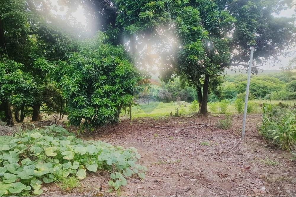 Terreno - Venda - Matozinhos , Minas Gerais - lote mtz01 (13).jpeg - 870241024-58