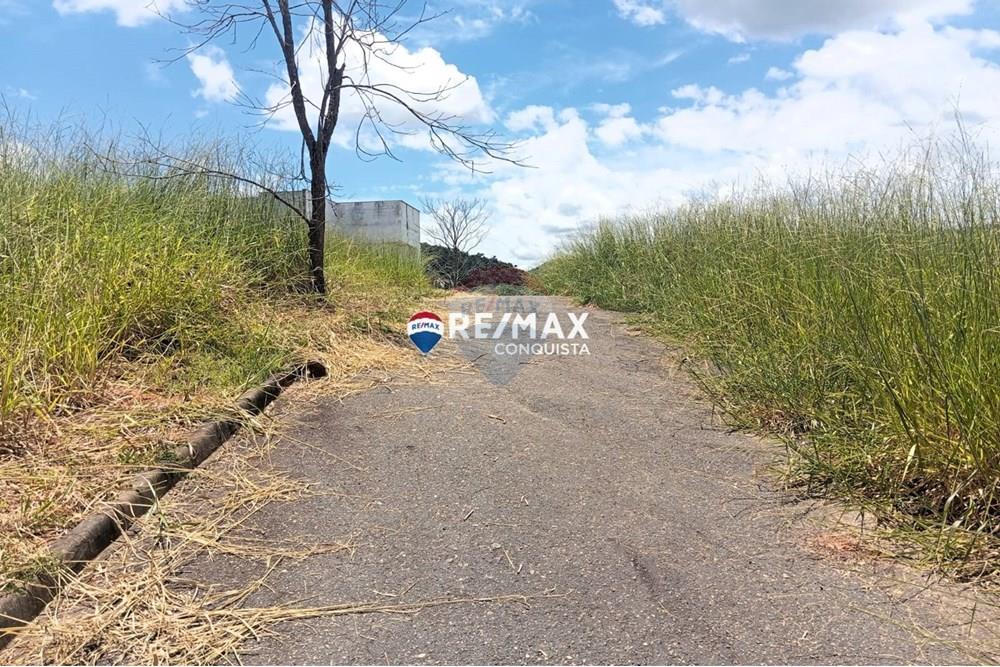 Chácara / Sítio / Fazenda - Venda - Ipanema , Minas Gerais - WhatsApp Image 2025-02-19 at 16.28.33(1).jpeg - 870451013-54