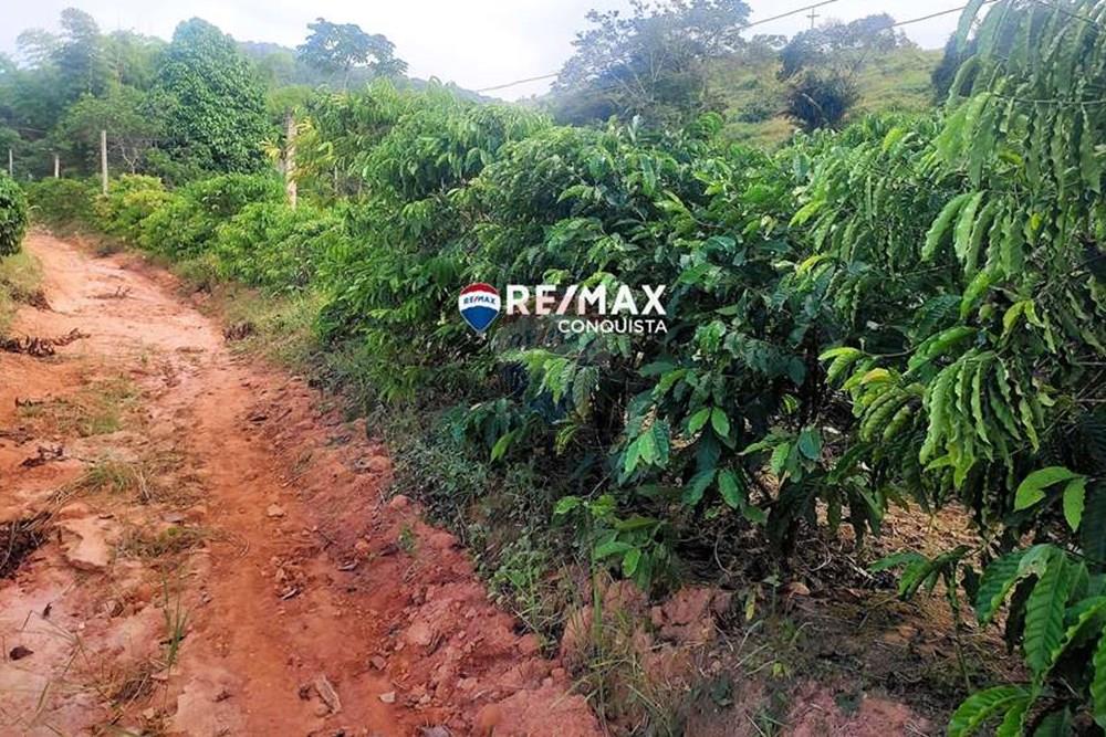 Chácara / Sítio / Fazenda - Venda - Ipanema , Minas Gerais - 5_IMG_20240515_081323_watermark_dom._23062024_100053.jpg - 870451001-121