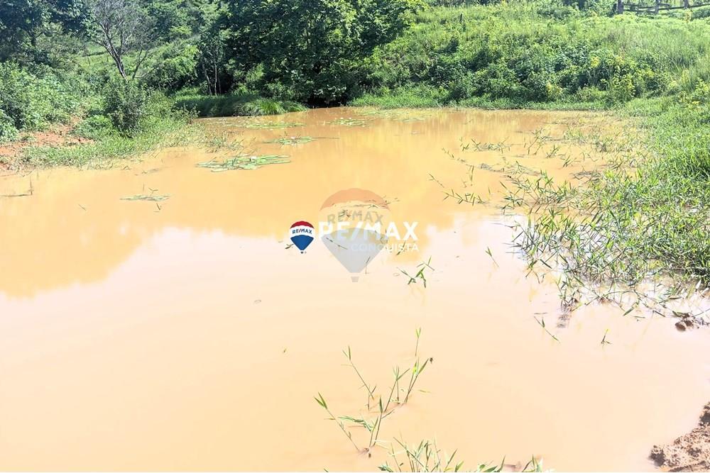 Chácara / Sítio / Fazenda - Venda - Pocrane , Minas Gerais - 8_IMG_20241203_083329_watermark_sex._13122024_135539.jpg - 870451001-114