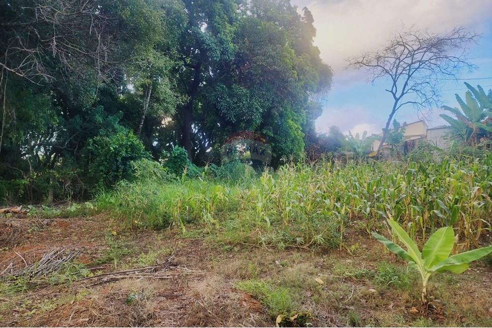 Terreno - Venda - Matozinhos , Minas Gerais - lote mtz01 (2).jpeg - 870241024-58