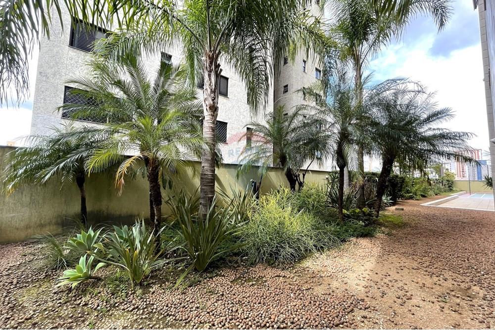 Apartamento - Venda - Belo Horizonte , Minas Gerais - IMG_0923.jpg - 870251002-556