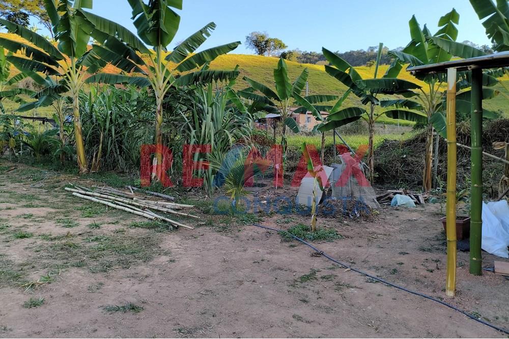 Chácara / Sítio / Fazenda - Venda - Conceição de Ipanema , Minas Gerais - 4_image_4_watermark_seg._01092025_205143.jpg - 870451001-144