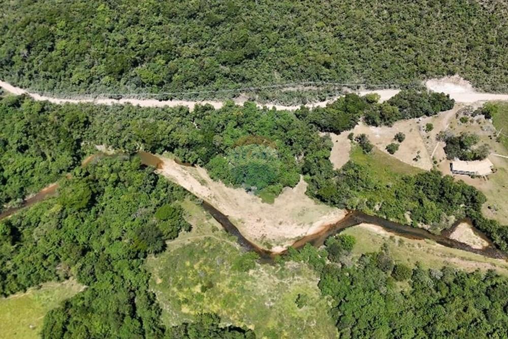 Chácara / Sítio / Fazenda - Venda - Delfinópolis , Minas Gerais - WhatsApp Image 2025-05-01 at 17.43.50.jpeg - 870721003-2