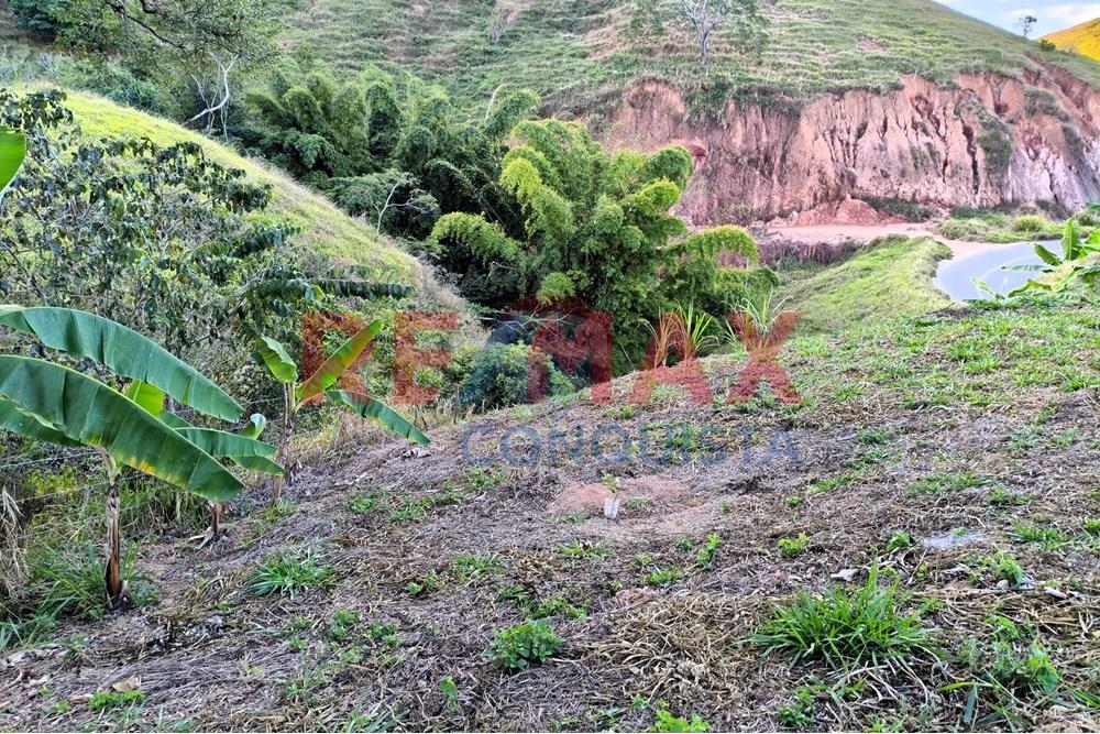 Chácara / Sítio / Fazenda - Venda - Conceição de Ipanema , Minas Gerais - 5_image_5_watermark_seg._01092025_205223.jpg - 870451001-144