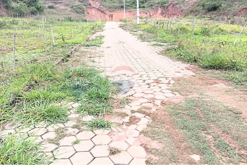 Terreno - Venda - Ipanema , Minas Gerais - 8_image_8_watermark_seg._03112025_103255.jpg - 870451013-77