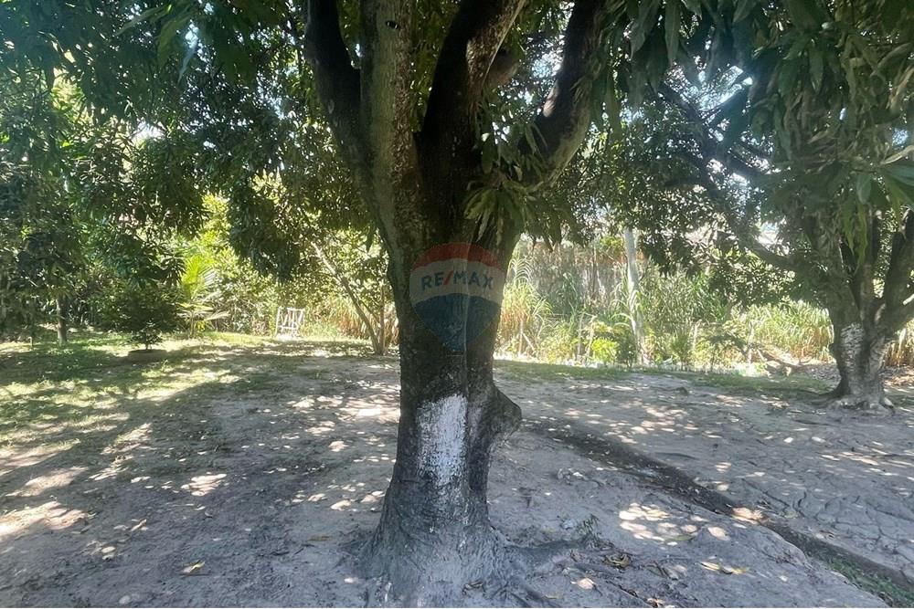 Apartamento - Venda - Betim , Minas Gerais - Imagem do WhatsApp de 2025-03-11 à(s) 15.52.05_0b731bdb.jpg - 870411006-62