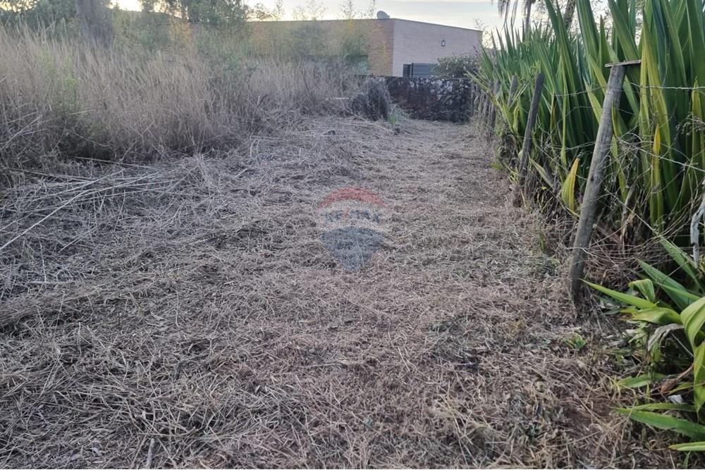 Terreno - Venda - Nova Lima , Minas Gerais - Foto 16.jpg - 870421084-16