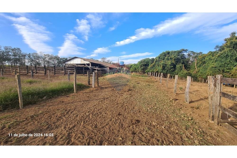 Chácara / Sítio / Fazenda - Venda - Uberaba , Minas Gerais -  (16).jpeg - 870291025-115