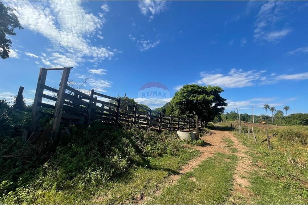 Chácara / Sítio / Fazenda - Venda - Araxá , Minas Gerais - 22.jpg - 870431045-37