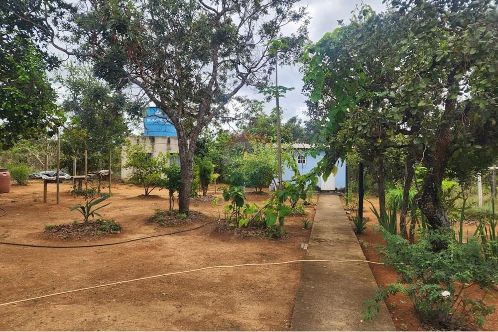 Chácara / Sítio / Fazenda - Venda - Curvelo , Minas Gerais - 8f9f8e13-c85b-433e-9953-90339e903ceb.jpeg - 870241024-65