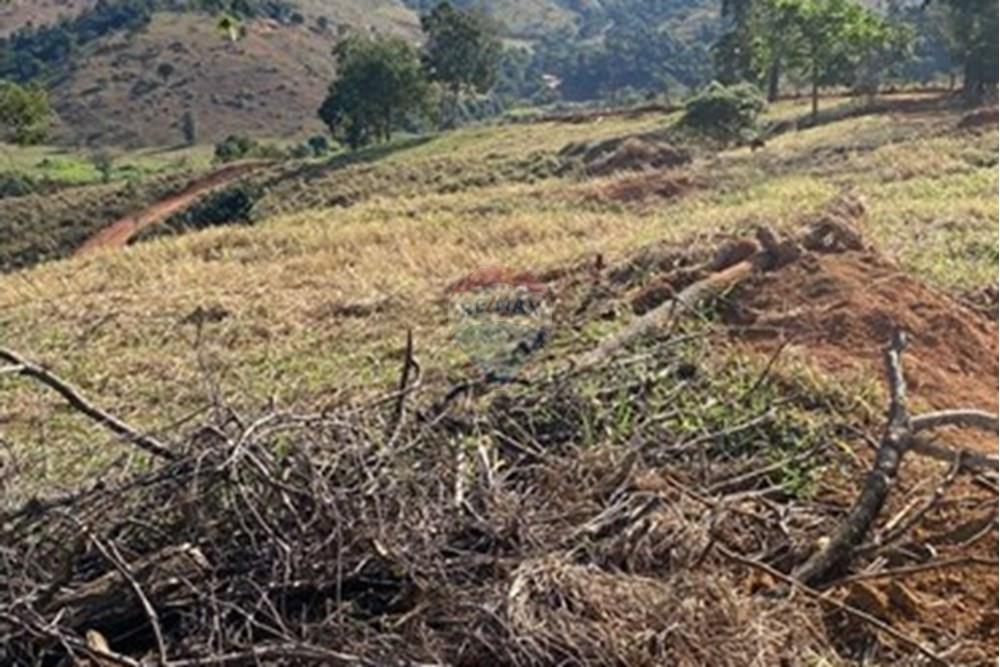 Chácara / Sítio / Fazenda - Venda - Timóteo , Minas Gerais - 0E2D5CBA-BC4F-48D0-9A25-5C7C730171C9.jpg - 870711027-23