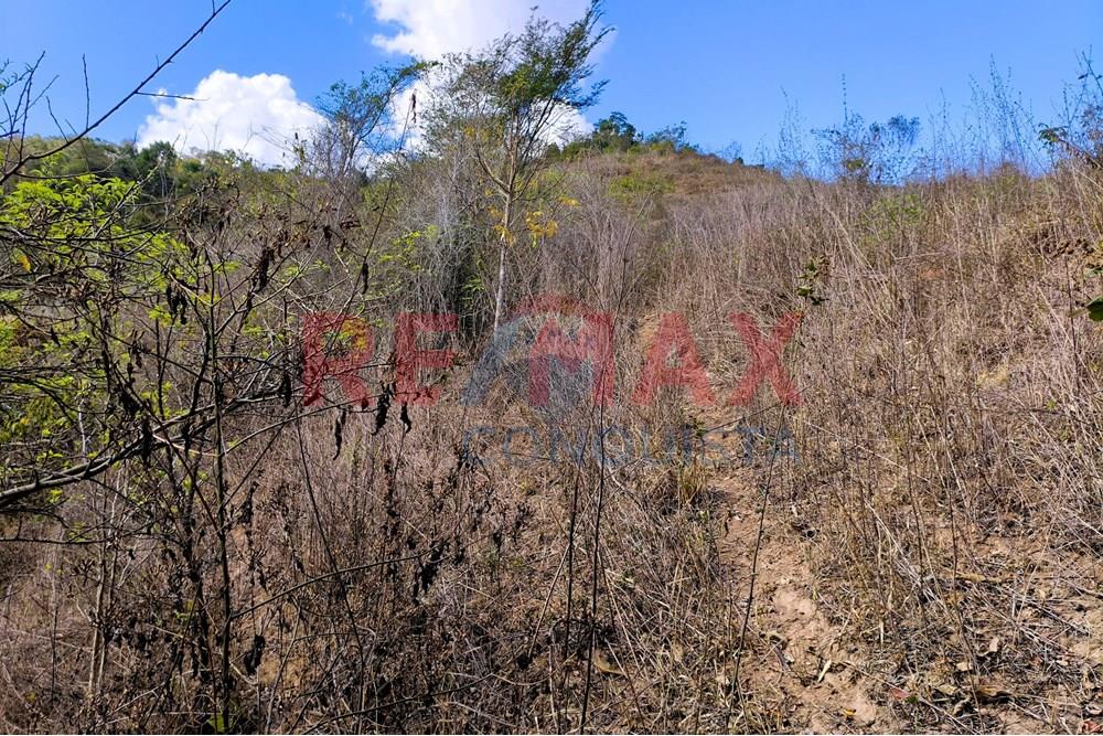 Chácara / Sítio / Fazenda - Venda - Ipanema , Minas Gerais - 1_image_1_watermark_seg._15092025_150711.jpg - 870451013-72