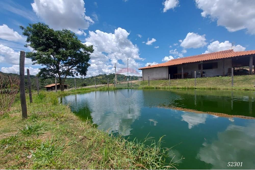 Chácara / Sítio / Fazenda - Venda - Perdizes , Minas Gerais - WhatsApp Image 2025-02-25 at 19.54.56 (1).jpeg - 870431028-37