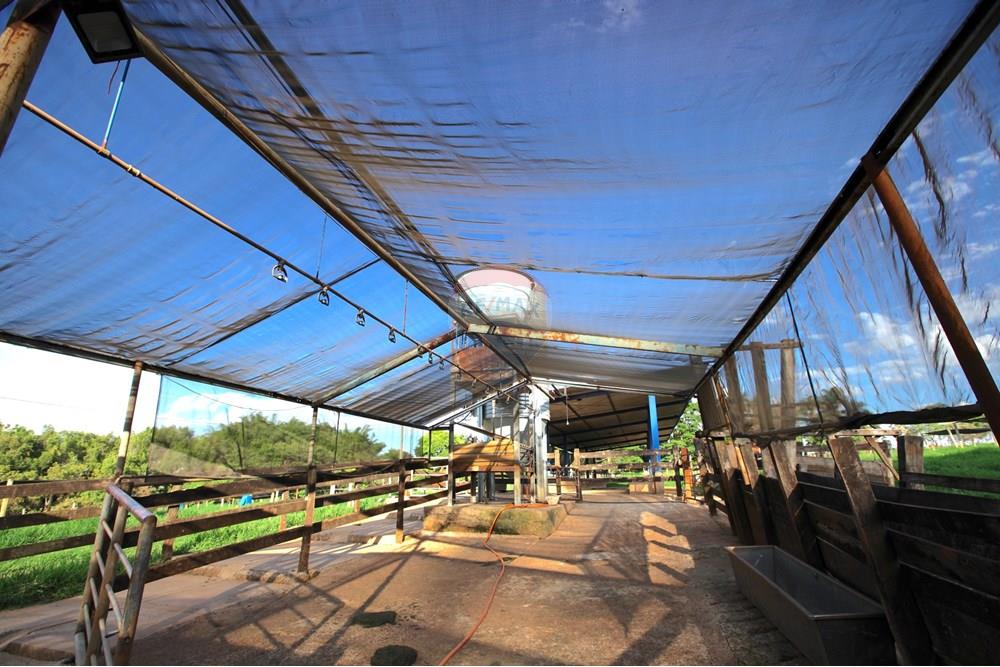 Chácara / Sítio / Fazenda - Venda - Araxá , Minas Gerais - IMG_2427.JPG - 870431039-25