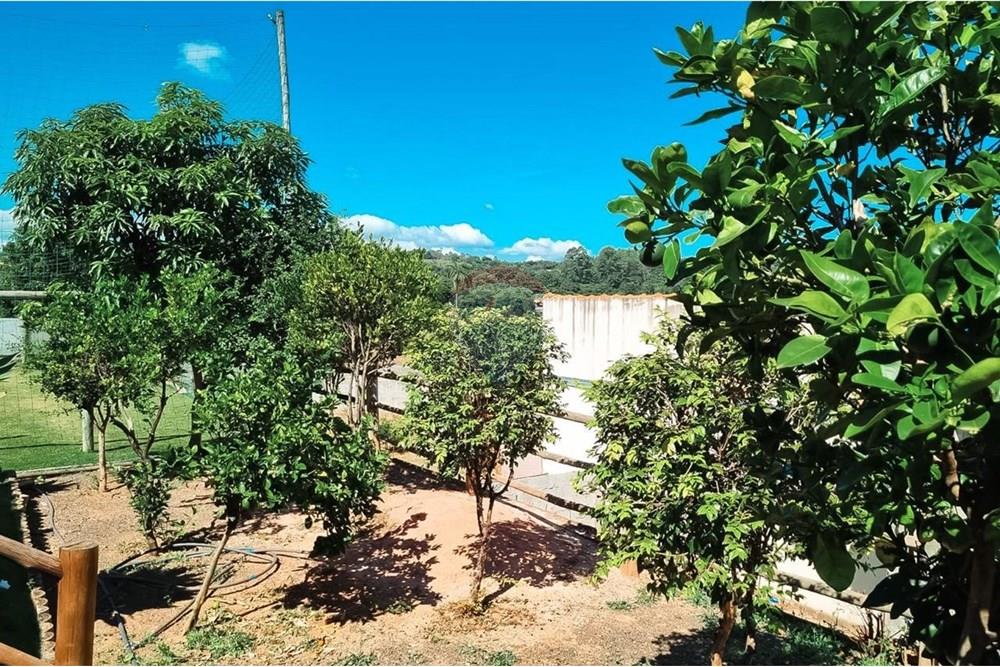 Chácara / Sítio / Fazenda - Venda - São Sebastião do Paraíso , Minas Gerais - 6.jpeg - 870601029-100