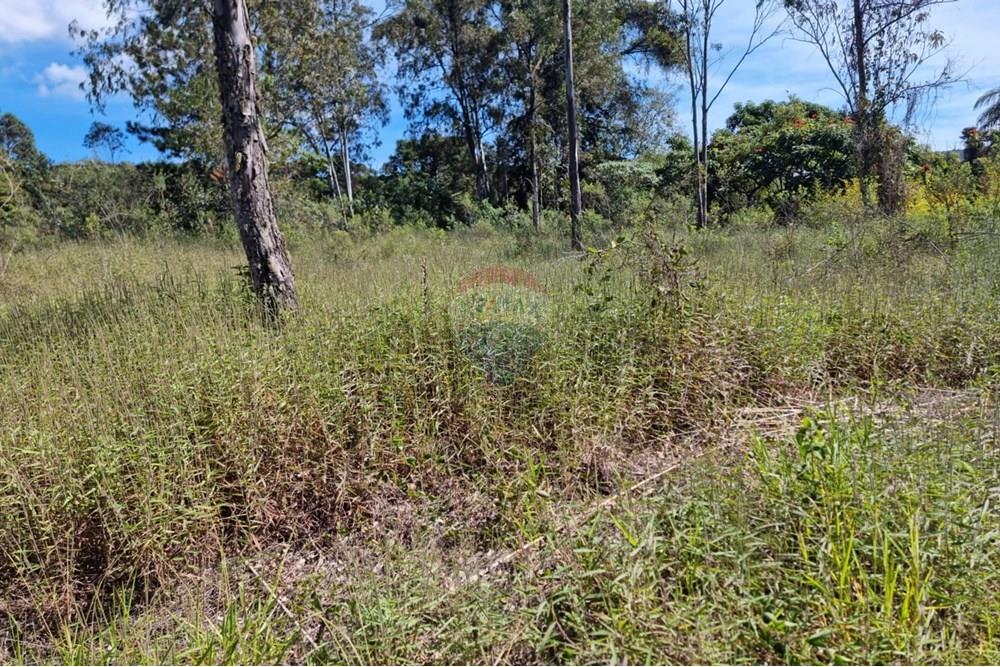 Terreno - Venda - Nova Lima , Minas Gerais - 4.jpeg - 870421084-16